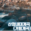 배가네민박 | 산청 내대계곡 평상대여 , 필수정보