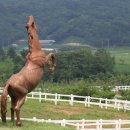 장수한누리전당 이미지