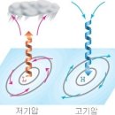 치명적인 무릎통증이 과연 뭐길래 이미지