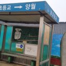 해제남초등학교 이미지