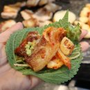 강서구청역 | 강서구청역 맛집 단체회식은 화곡동 고기집 석암생소금구이