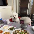 민머루해수욕장 이미지