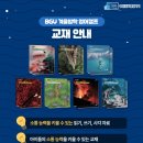 부산글로벌빌리지 이미지