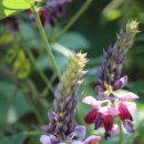 이안한방병원 이미지