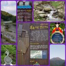 통펜션 이미지