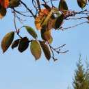 골든골프연습장 이미지