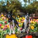 제주허브동산 이미지