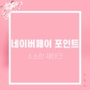 메가스터디교육_카카오페이 | 네이버페이 이벤트로 포인트 및 현금 챙기는 쏠쏠한 방법