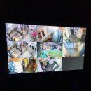 슈슈댕 천안두정점 이미지