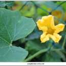 도두리길 이미지