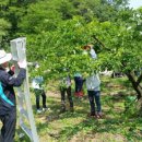 중앙보건지소 이미지