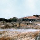 개운포성지 이미지