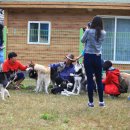 성주허스키켄넬 이미지