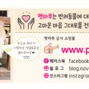 세이프애니펫 이미지