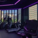 머스트핏 이미지