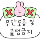 템포디 이미지