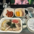 대한항공 유럽 직항 후기 | 인천 - 파리행 기내식, 좌석, 수하물 규정 등 (유럽직항 만족!✈️)