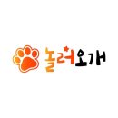 놀러오개 애견유치원 애견호텔 이미지