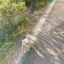 구구네미용실 이미지