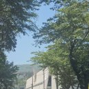 이케아 앞 야외주차장 횡단보도 | 부산 근교 김해 장유 대형카페 추천, 아이들과 가기 좋은 김해 포븐