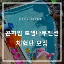 [모집중] 곤지암 로뎀나무펜션 체험단 모집