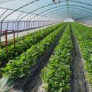 (주)드림유통 이미지