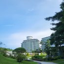 세븐일레븐 강릉경포그린점 이미지