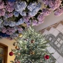 스텔라의 행복정원 이미지