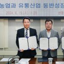 팜팜코퍼레이션