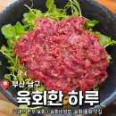육회한 하루
