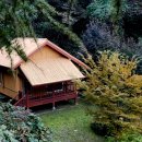 아세안자연휴양림 | 🏕️ [양주 여행] 아세안자연휴양림 1박2일 숙박후기 – 싱가포르2동 실제 이용후기와 꿀팁🌿