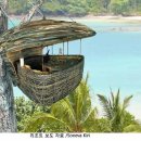 새둥지식당 이미지