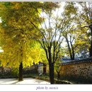 영주 소수서원 이미지