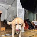 강촌유스호텔 | 강촌 글램핑 추천, 서울시립대학교 강촌수련원 유스호스텔