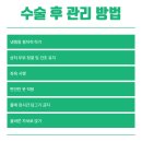 엘여성의원 이미지