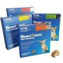 365문화전당약국 이미지