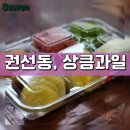 수원 권선동, 과즙많은 과일도시락 후기, 상큼과일 권선점