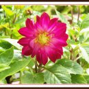 삼익 당구장 이미지