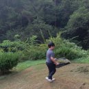 보은산소 Daum카페