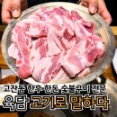2015048 | [안산 고잔] 육담 고기로 말하다 안산본점 | 살살 녹는 오겹살과 투쁠 한우가 있는 고잔동고기집