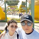 정발산역2번 출구(문화광장) | [공지] [봄을 즐겁게5] 경기 : 2026년 고양국제꽃박람회 정보(4/24~5/10), 2025년 방문 후기