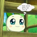 보노컴퍼니