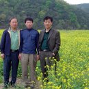 낙동강오리알 이미지