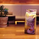 골드(GOLD) - 남구 | 골드(GOLD)
