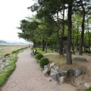 김천시청_#5 이미지