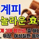 계피 7가지 및 부작용 이미지