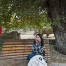 서미양 | [카자흐 가족여행] 7일차_침볼락 케이블카/알마티 동물원/콕토베 야경