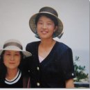 중매목장 이미지