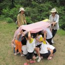 보림유치원 이미지