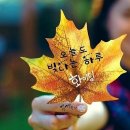 가을나그네 (소리새) covered by 해와나무/ Ludlows 이미지